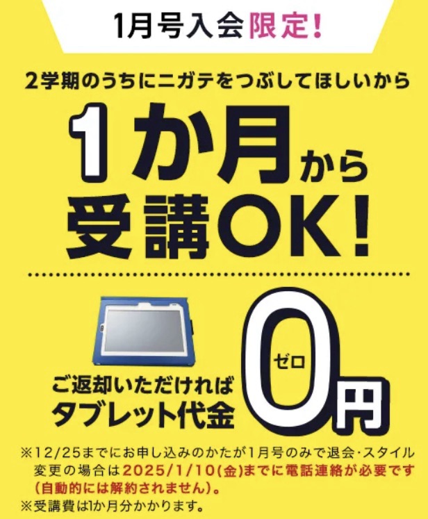 進研ゼミ「1年生準備スタートボックス」の中身は？もらい方・解約方法も解説｜＊お家で双子知育＊